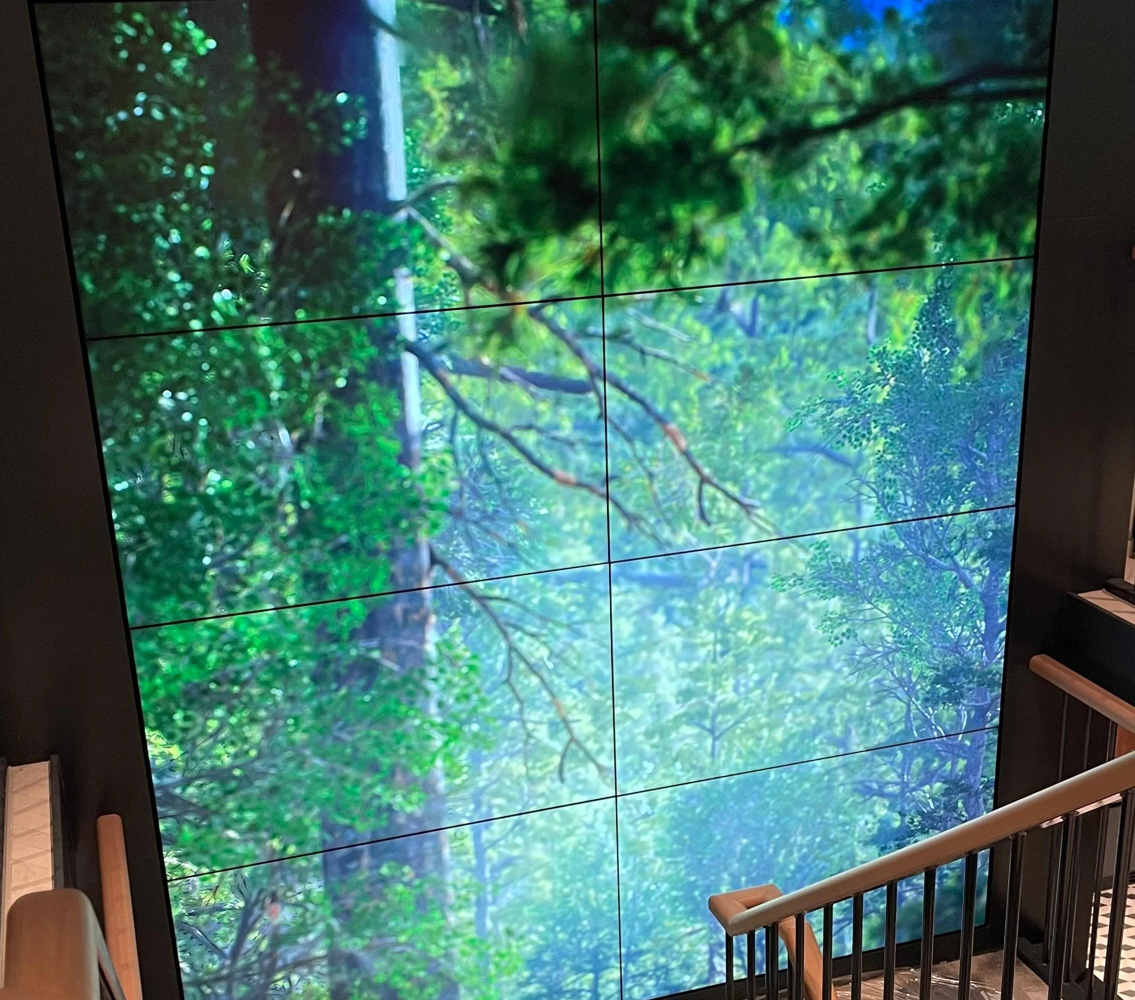 Videowall MS Aurelia project